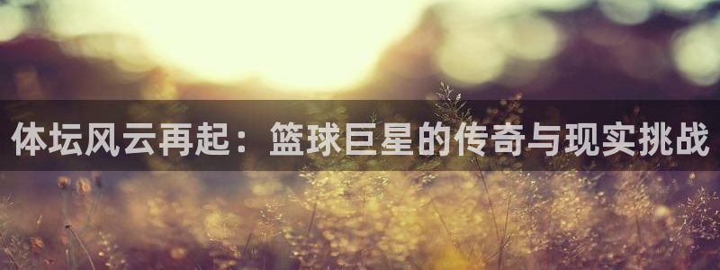 体坛风云再起：篮球巨星的传奇与现实挑战