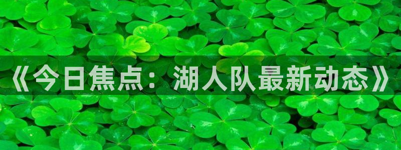 《今日焦点：湖人队最新动态》