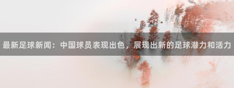 最新足球新闻：中国球员表现出色，展现出新的足球潜力和活力