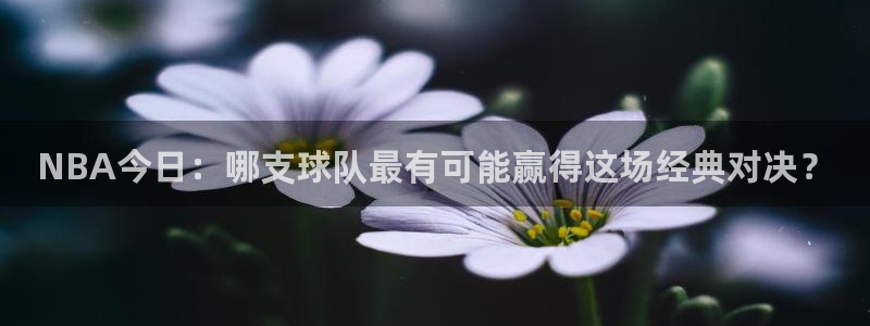 NBA今日：哪支球队最有可能赢得这场经典对决？
