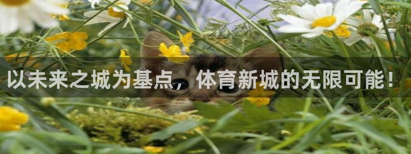 以未来之城为基点，体育新城的无限可能！