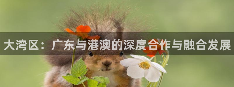 大湾区：广东与港澳的深度合作与融合发展