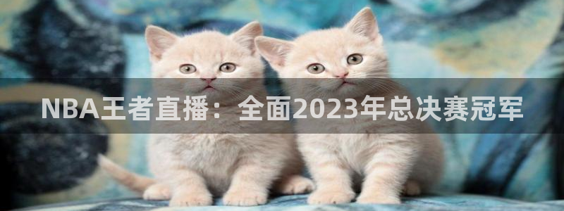 NBA王者直播：全面2023年总决赛冠军