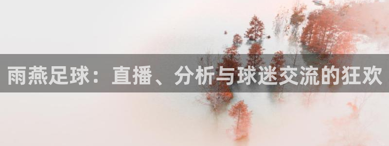 雨燕足球：直播、分析与球迷交流的狂欢