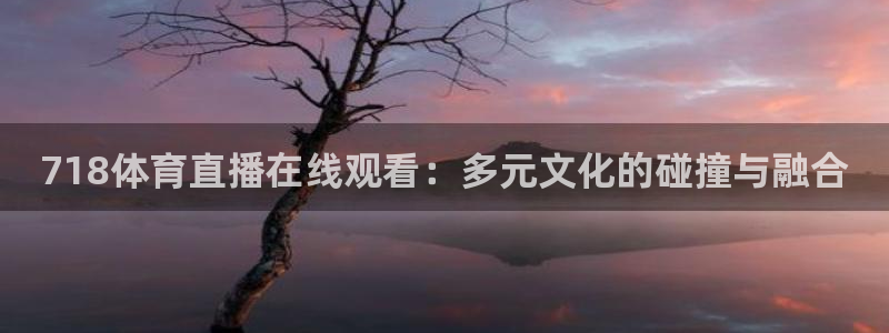 718体育直播在线观看：多元文化的碰撞与融合