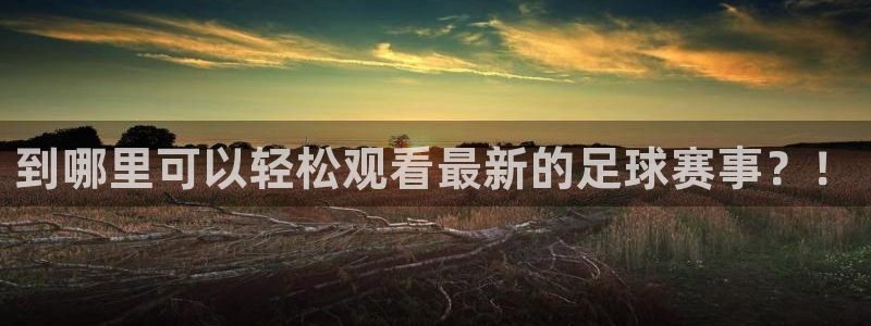 到哪里可以轻松观看最新的足球赛事？！