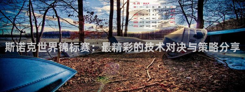 斯诺克世界锦标赛：最精彩的技术对决与策略分享