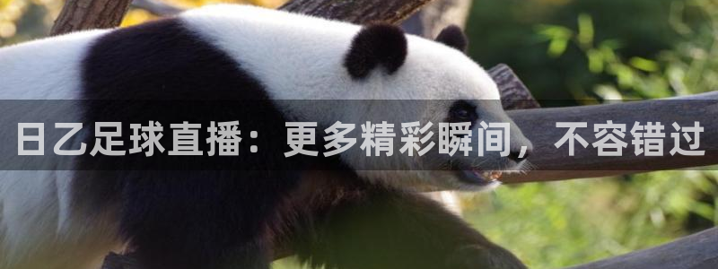 日乙足球直播：更多精彩瞬间，不容错过