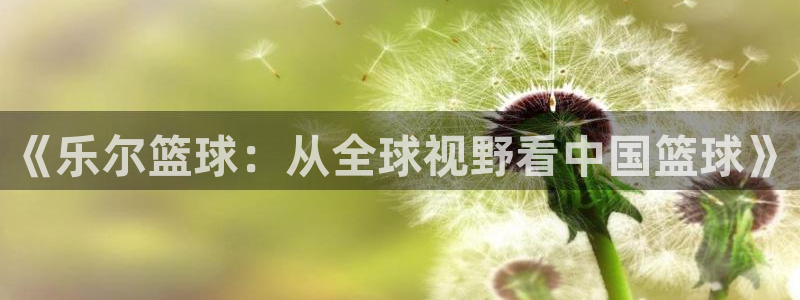 《乐尔篮球：从全球视野看中国篮球》