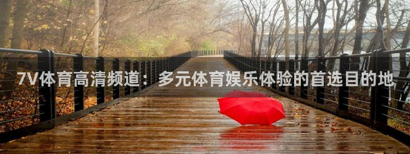 7V体育高清频道：多元体育娱乐体验的首选目的地