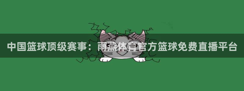 中国篮球顶级赛事：雨燕体育官方篮球免费直播平台