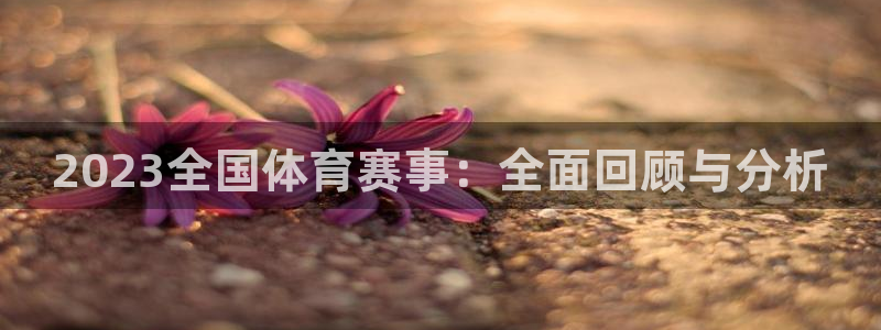2023全国体育赛事：全面回顾与分析