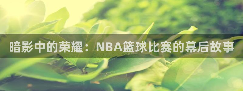 暗影中的荣耀：NBA篮球比赛的幕后故事