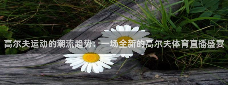 高尔夫运动的潮流趋势：一场全新的高尔夫体育直播盛宴