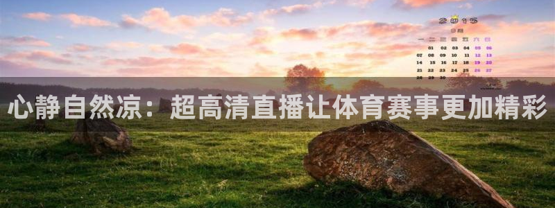 心静自然凉：超高清直播让体育赛事更加精彩