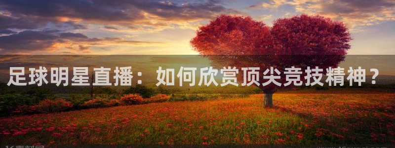 足球明星直播：如何欣赏顶尖竞技精神？