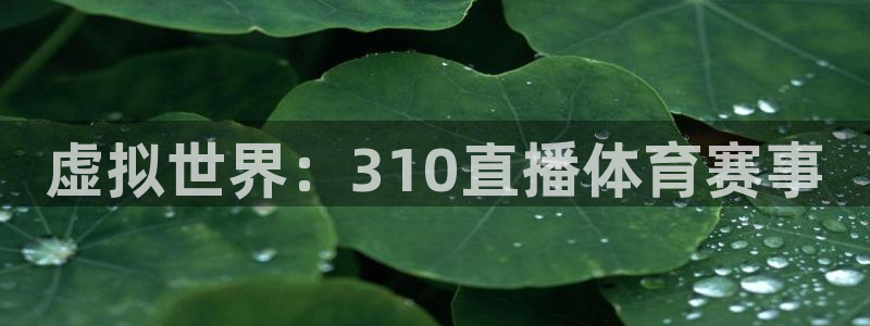 虚拟世界：310直播体育赛事