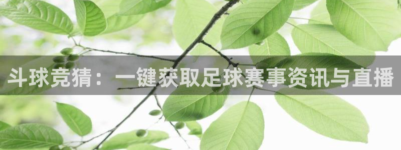 斗球竞猜：一键获取足球赛事资讯与直播