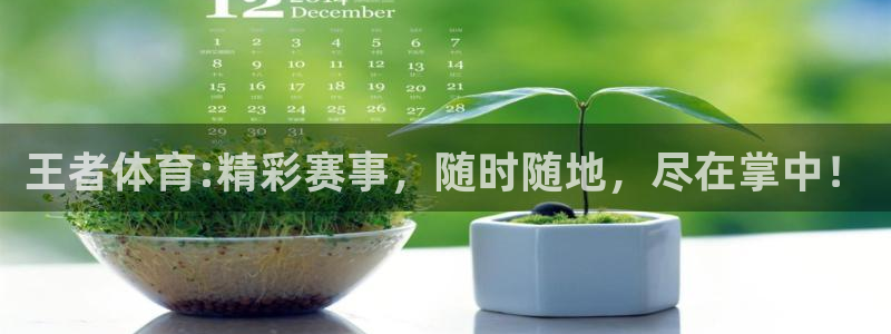 王者体育:精彩赛事，随时随地，尽在掌中！