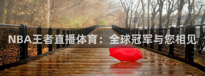 NBA王者直播体育：全球冠军与您相见