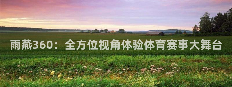 雨燕360：全方位视角体验体育赛事大舞台