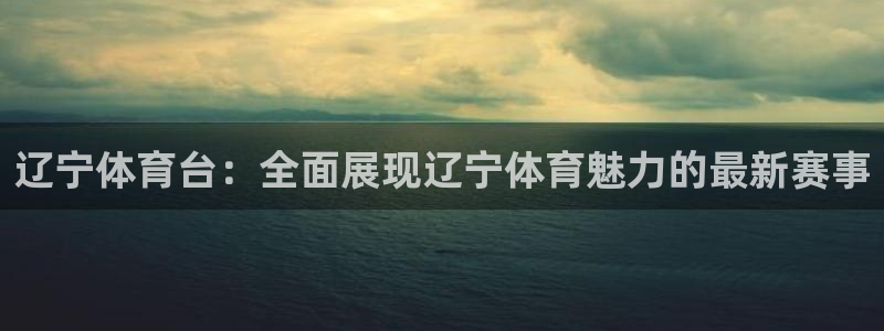 辽宁体育台：全面展现辽宁体育魅力的最新赛事