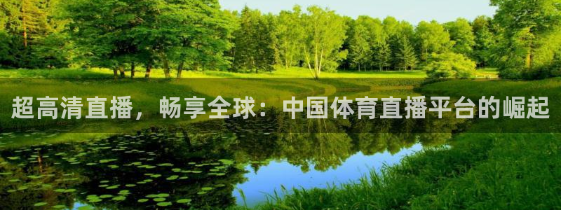 超高清直播，畅享全球：中国体育直播平台的崛起