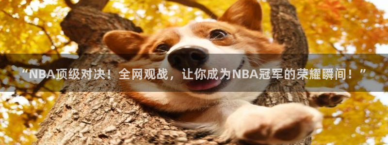 “NBA顶级对决！全网观战，让你成为NBA冠军的荣耀瞬间！”