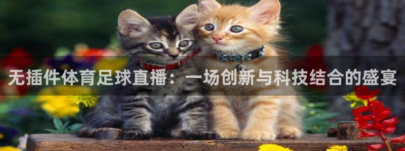 无插件体育足球直播：一场创新与科技结合的盛宴