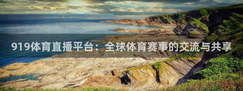 919体育直播平台：全球体育赛事的交流与共享