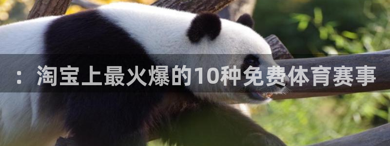 ：淘宝上最火爆的10种免费体育赛事