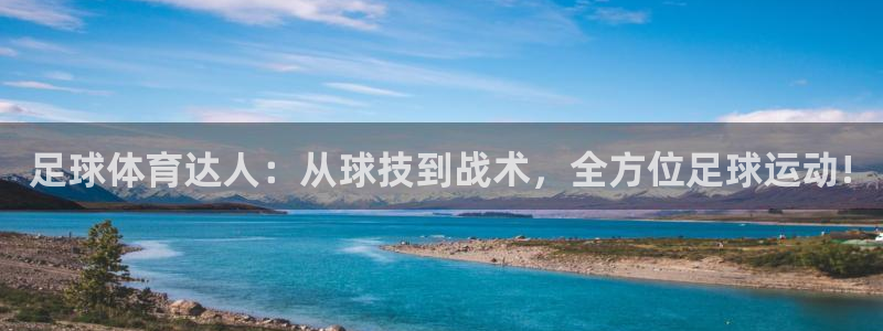 足球体育达人：从球技到战术，全方位足球运动!