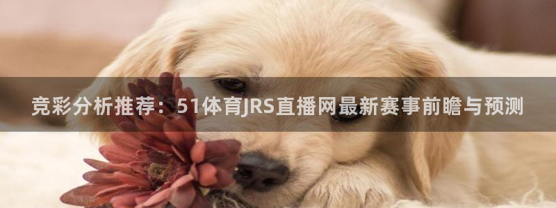 竞彩分析推荐：51体育JRS直播网最新赛事前瞻与预测