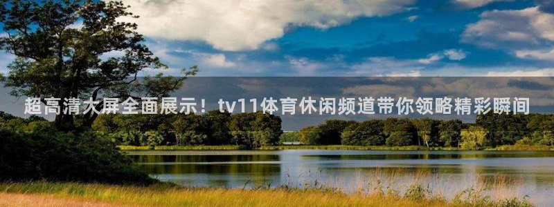 超高清大屏全面展示！tv11体育休闲频道带你领略精彩瞬间