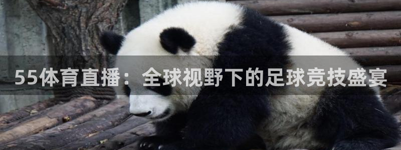 55体育直播：全球视野下的足球竞技盛宴