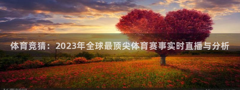 体育竞猜：2023年全球最顶尖体育赛事实时直播与分析
