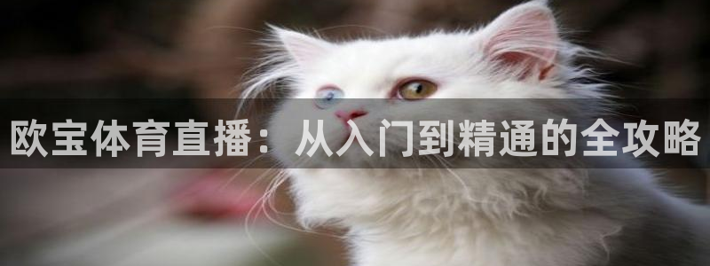 欧宝体育直播：从入门到精通的全攻略