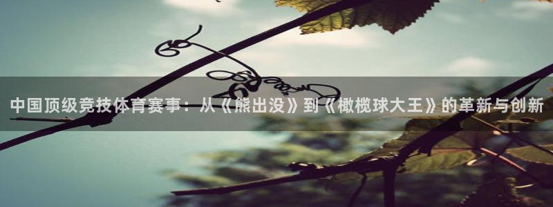 中国顶级竞技体育赛事：从《熊出没》到《橄榄球大王》的革新与创新