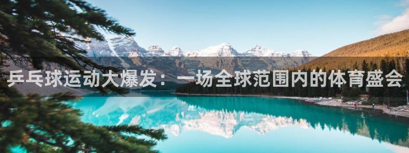 乒乓球运动大爆发：一场全球范围内的体育盛会
