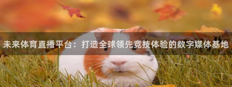 未来体育直播平台：打造全球领先竞技体验的数字媒体基地