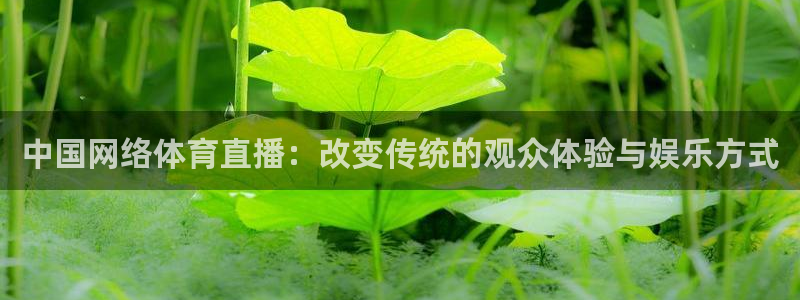 中国网络体育直播：改变传统的观众体验与娱乐方式