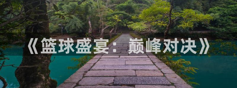 《篮球盛宴：巅峰对决》
