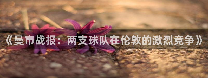 《曼市战报：两支球队在伦敦的激烈竞争》