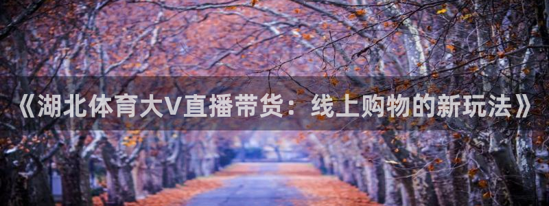 《湖北体育大V直播带货：线上购物的新玩法》