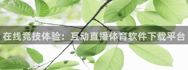 在线竞技体验：互动直播体育软件下载平台