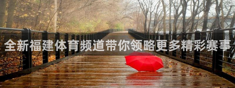 全新福建体育频道带你领略更多精彩赛事