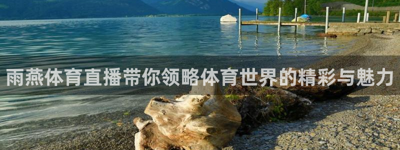雨燕体育直播带你领略体育世界的精彩与魅力