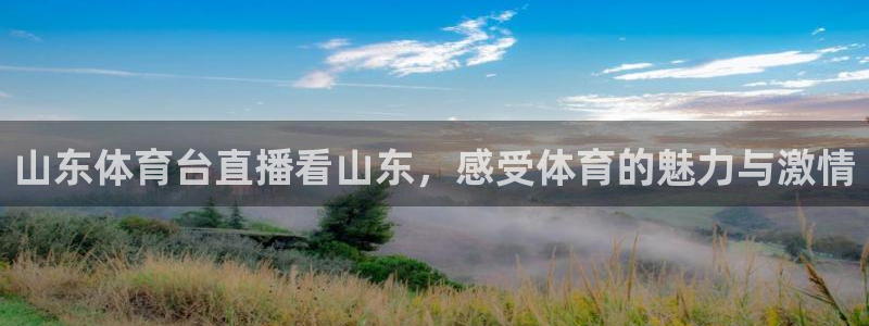 山东体育台直播看山东，感受体育的魅力与激情