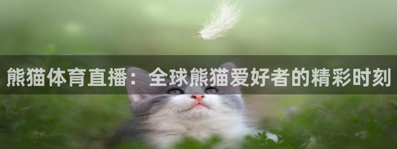 熊猫体育直播：全球熊猫爱好者的精彩时刻