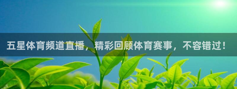 五星体育频道直播，精彩回顾体育赛事，不容错过！